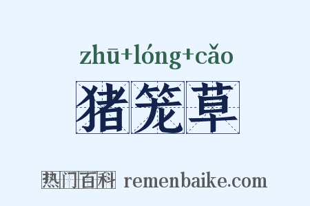 猪笼草是什么意思的图片